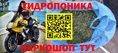 дурь Кингисепп