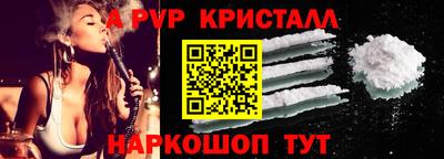 дурь Кингисепп