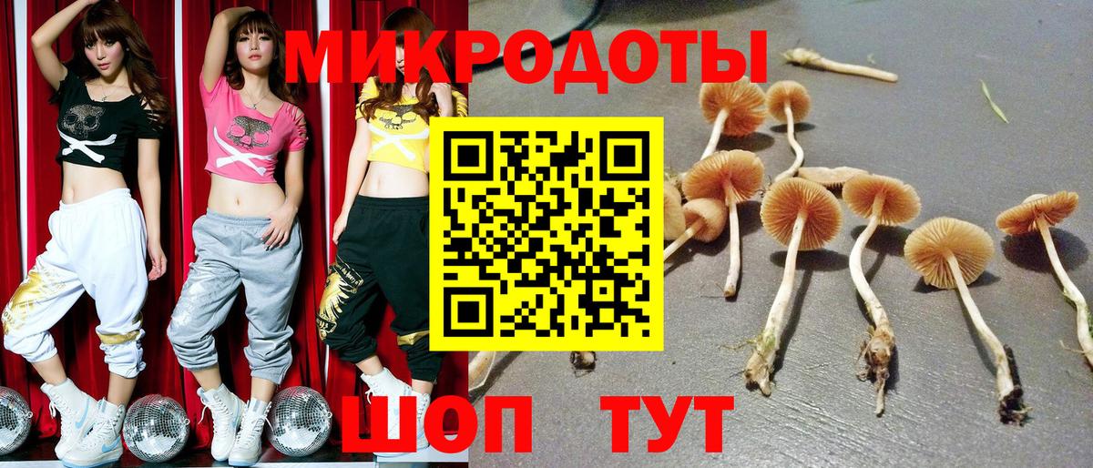 Галлюциногенные грибы MAGIC MUSHROOMS Арзамас